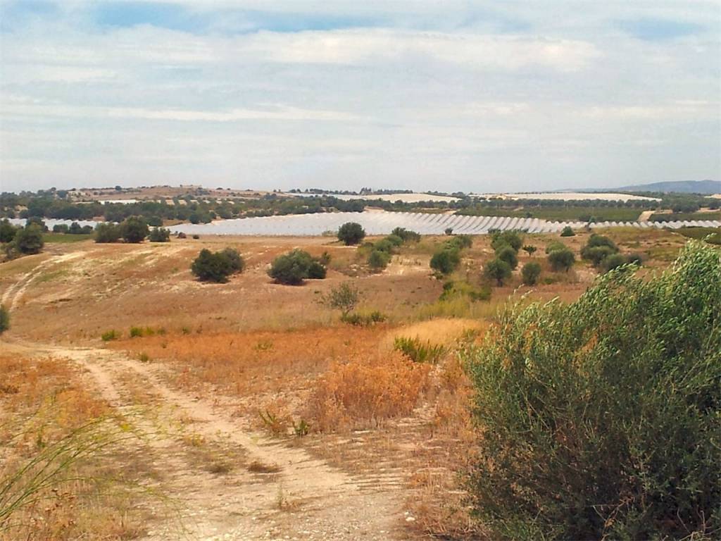 Terreno a Noto - Foto 5