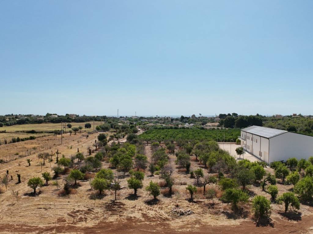 Terreno a Noto in falconara - Foto 4