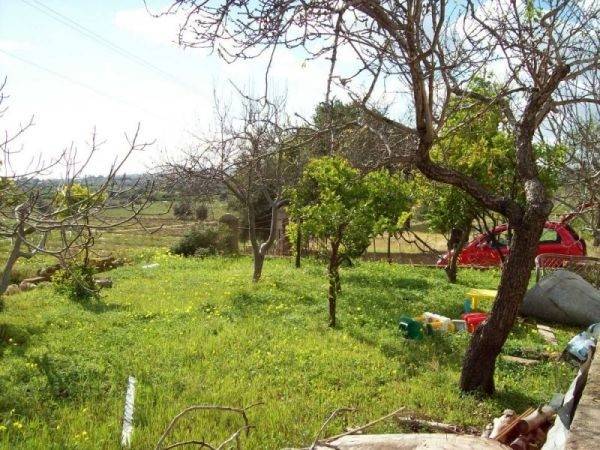 Terreno a Avola - Foto 3