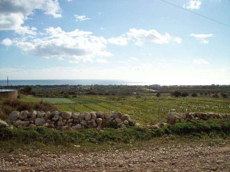 Terreno a Avola - Foto 4
