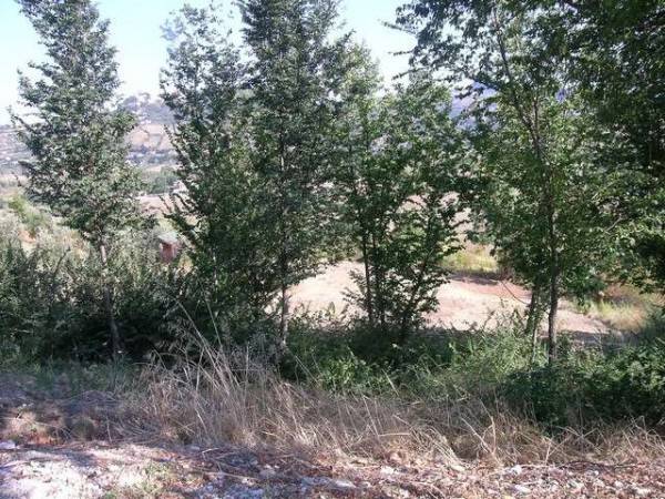 Terreno a Poggio torriana in Torriana - Foto 2