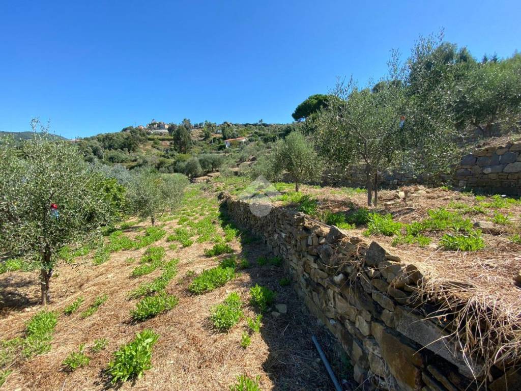 Terreno a Bordighera in strada ciotti - Foto 3