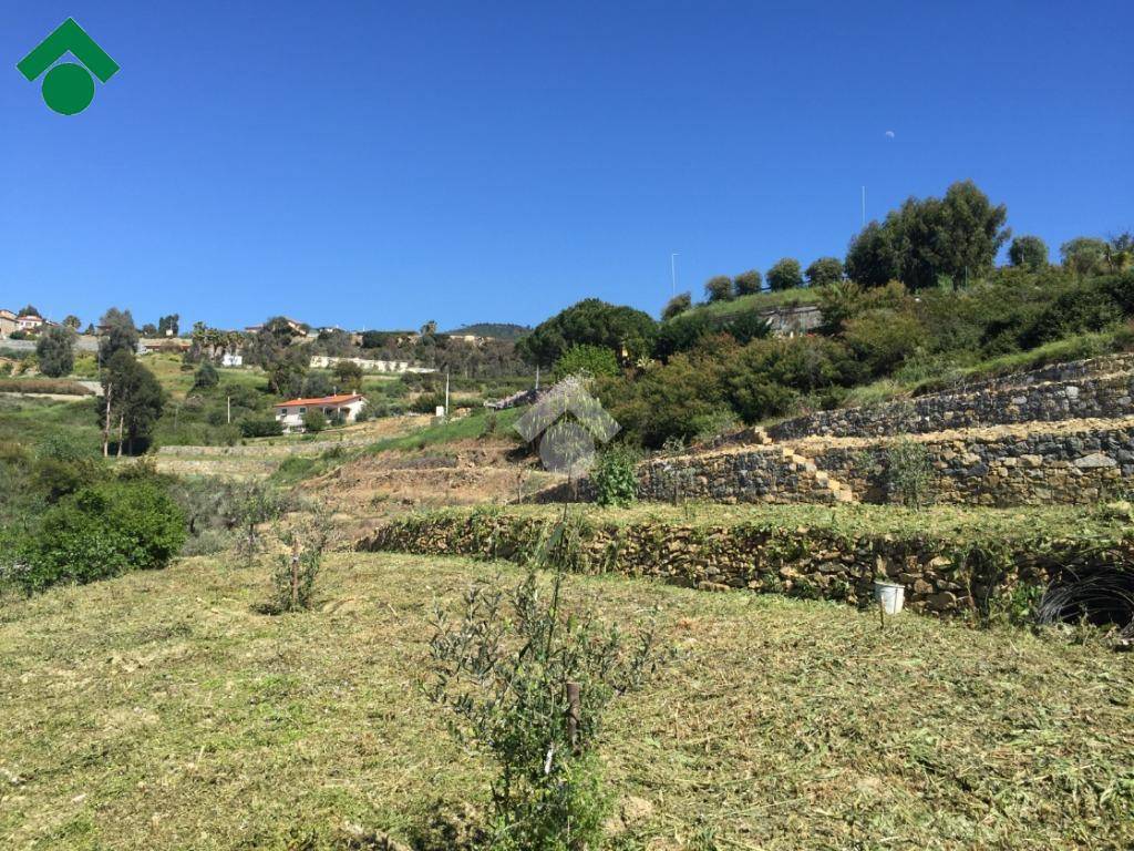 Terreno a Bordighera in strada ciotti - Foto 4