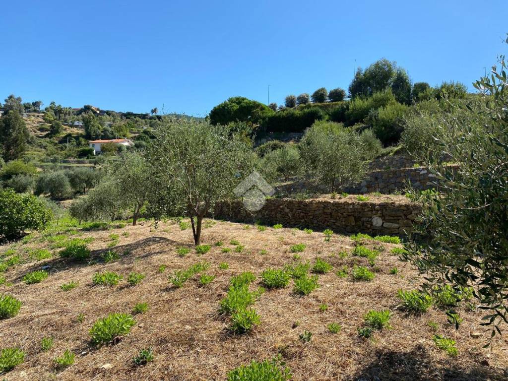 Terreno a Bordighera in strada ciotti - Foto 5