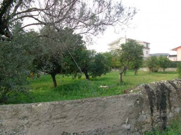 Terreno a Gioiosa ionica in Contrada Condercuri - Foto 3