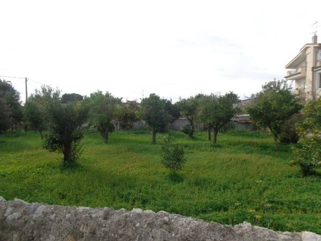 Terreno a Gioiosa ionica in Contrada Condercuri - Foto 4