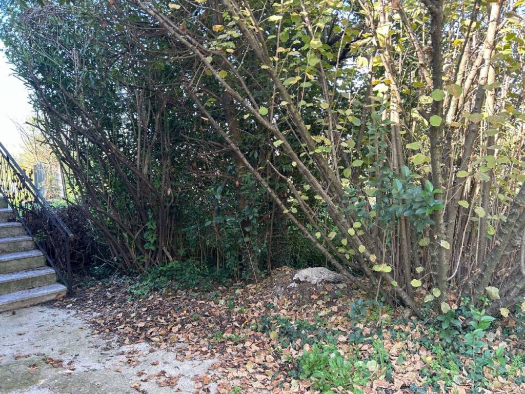 Casa indipendente a Broccostella in via Falcone - Foto 3