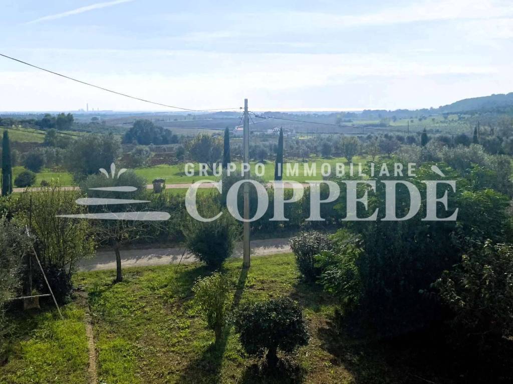 Casa indipendente a Capalbio in strada CAMPO DELLE MINIERE - Foto 2