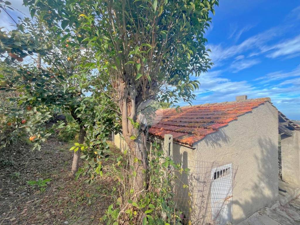 Rustico / casale a Roseto degli abruzzi in Via G. de Vincentis, 2 - Foto 3