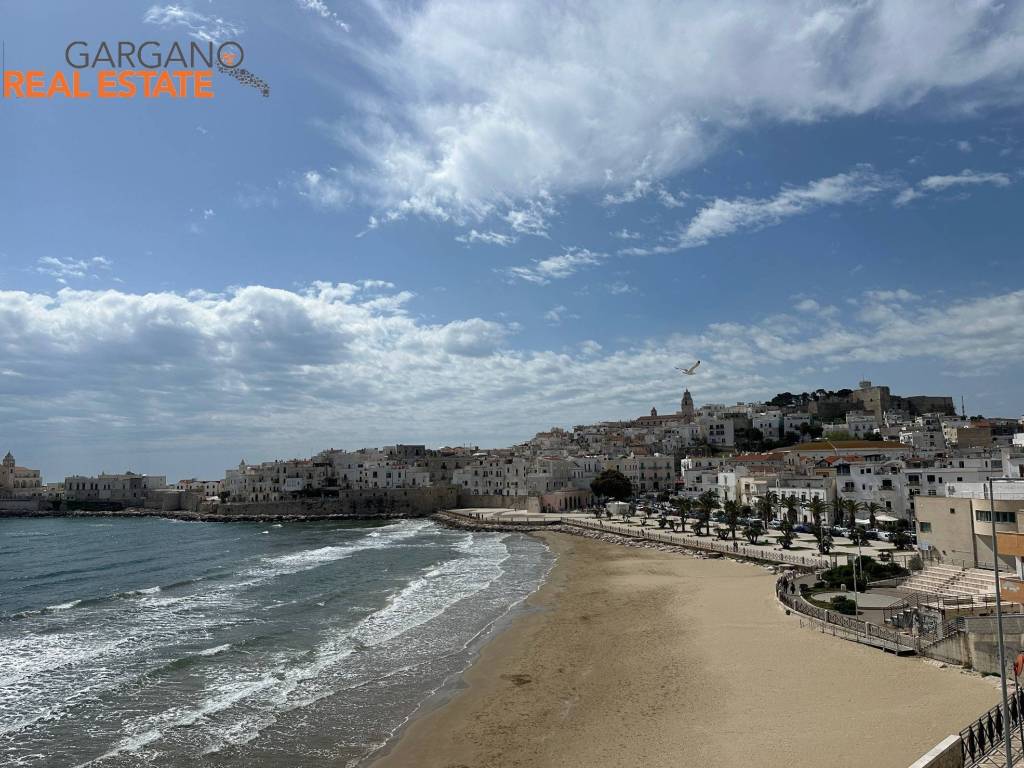 Appartamento a Vieste in Lungomare Cristoforo Colombo - Foto 3