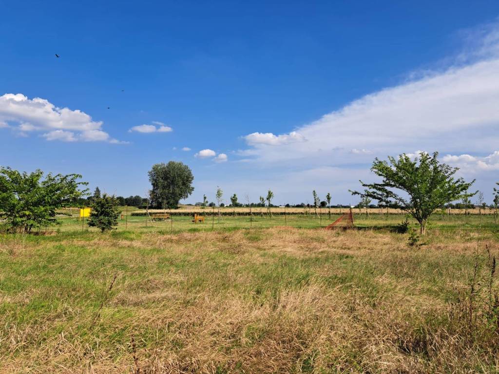 Villetta a schiera a Bentivoglio in via Pallotti - Foto 4