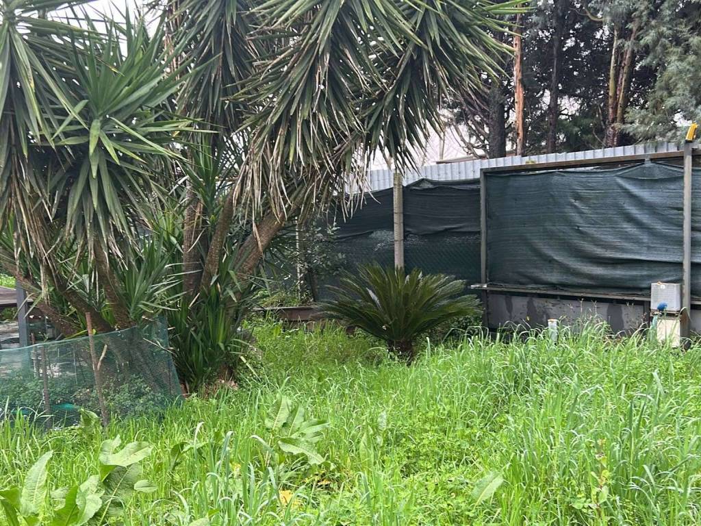 Terreno a Capodrise in via GRECO - Foto 4