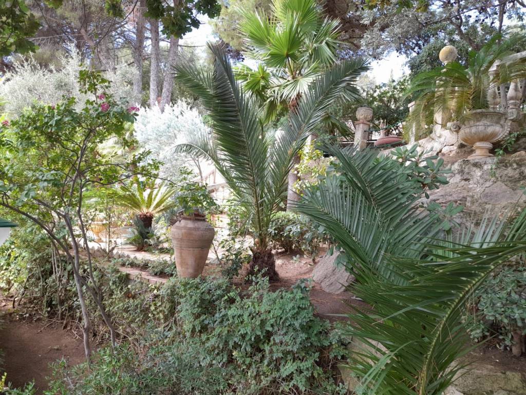 Villa a Stalettì in Torre Elena - Foto 3