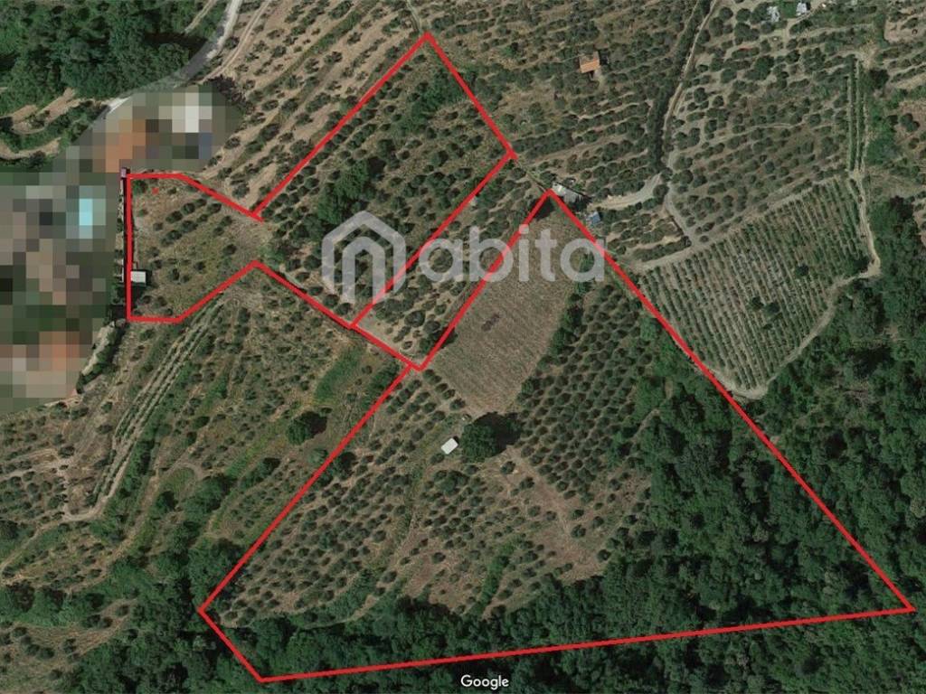 Terreno a Montevarchi in MONCIONI - Foto 3