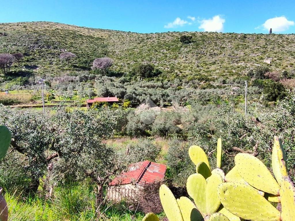 Terreno a Gaeta in Via dell'Agricoltura - Foto 3
