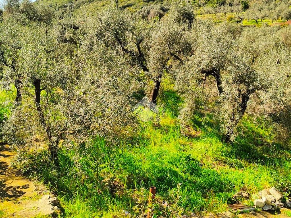 Terreno a Gaeta in Via dell'Agricoltura - Foto 4