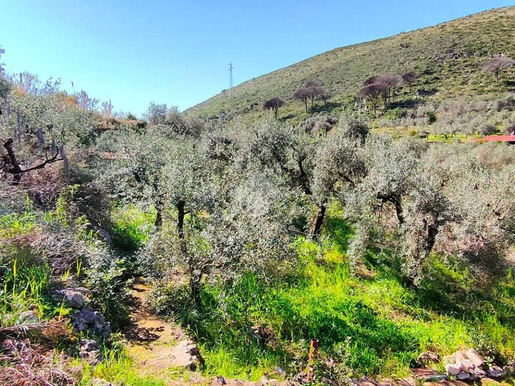 Terreno a Gaeta in Via dell'Agricoltura - Foto 5