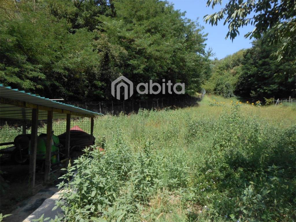 Terreno a Terranuova bracciolini in PENNA - Foto 3
