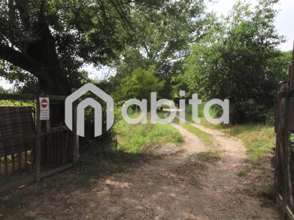 Terreno a San giovanni valdarno in CAMPAGNA - Foto 3