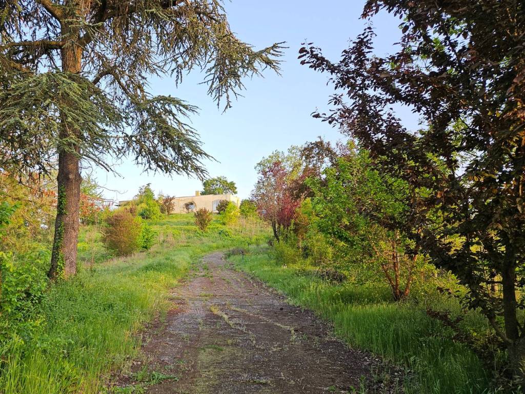 Villa a Casale monferrato in Regione Montalbano - Foto 3