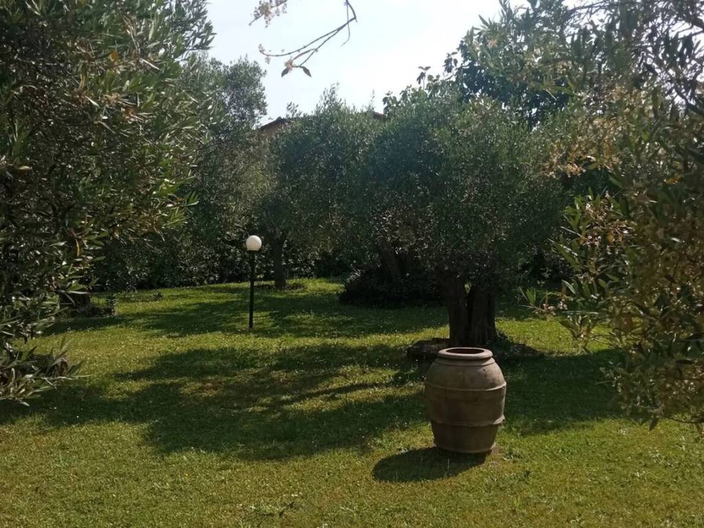 Villa a Tuoro sul trasimeno in Vernazzano Basso - Foto 4