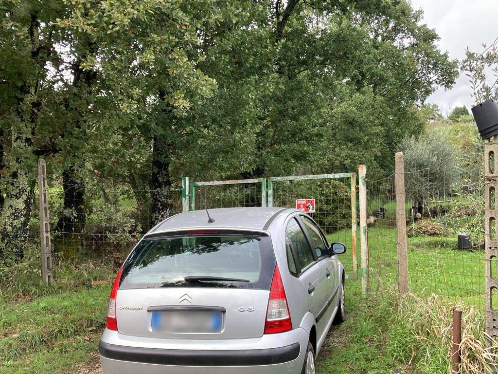 Terreno a Pistoia - Foto 3