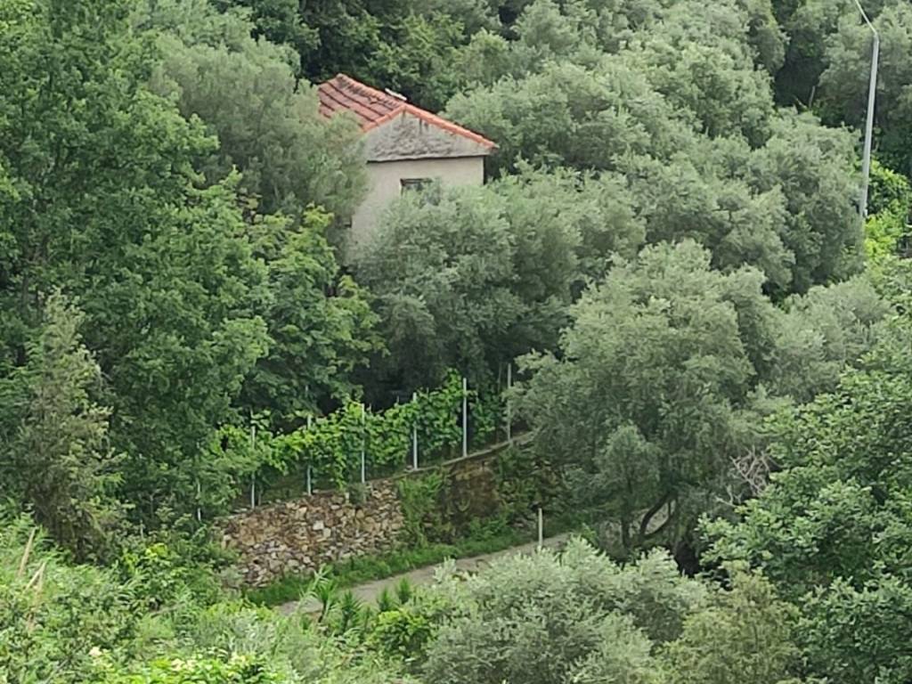 Rustico / casale a Noli - Foto 3