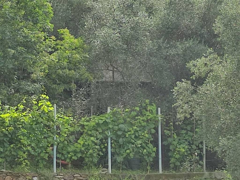 Rustico / casale a Noli - Foto 4