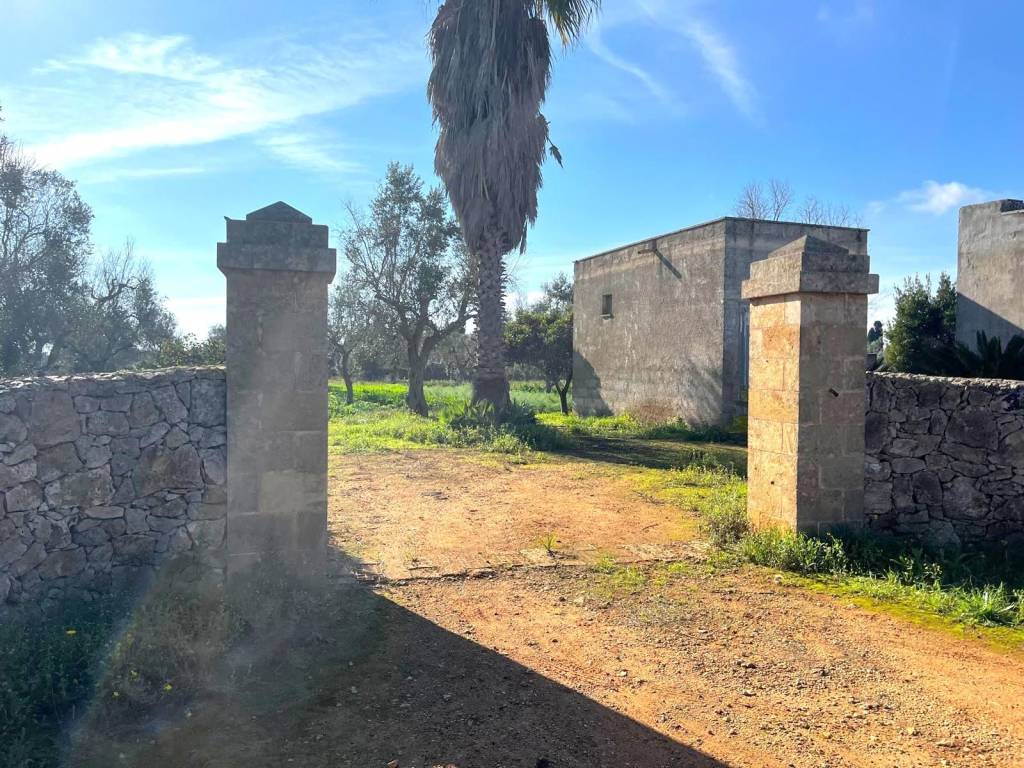 Terreno a Tricase in Strada Comunale Montesano Tutino - Foto 4