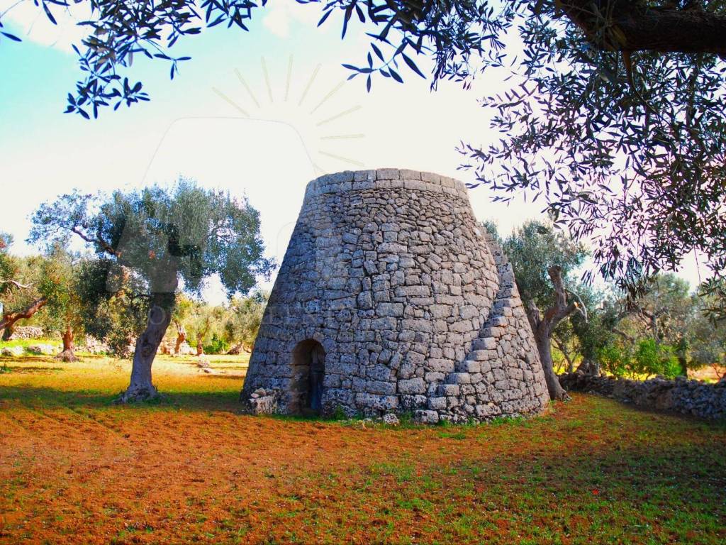 Terreno a Castrignano del capo in Strada Provinciale Castrigano del Capo Marina di Leuca - Foto 2