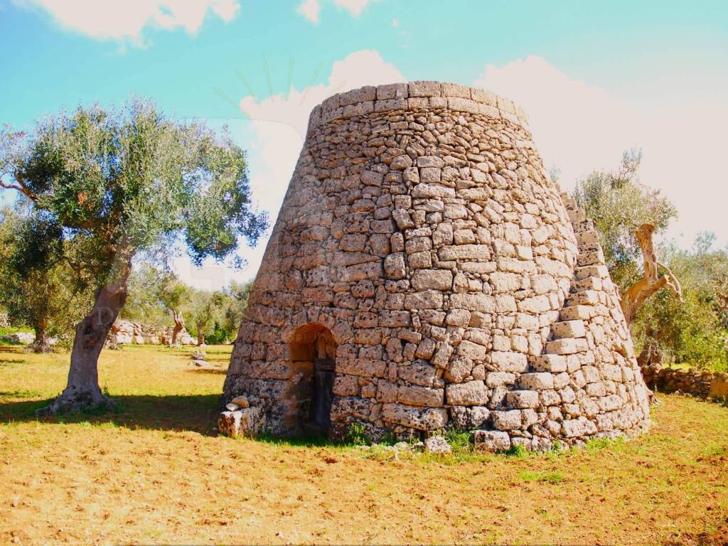 Terreno a Castrignano del capo in Strada Provinciale Castrigano del Capo Marina di Leuca - Foto 3