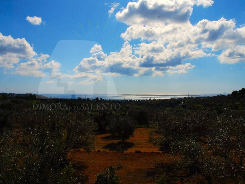 Terreno a Castrignano del capo in Strada Provinciale Castrigano del Capo Marina di Leuca - Foto 4