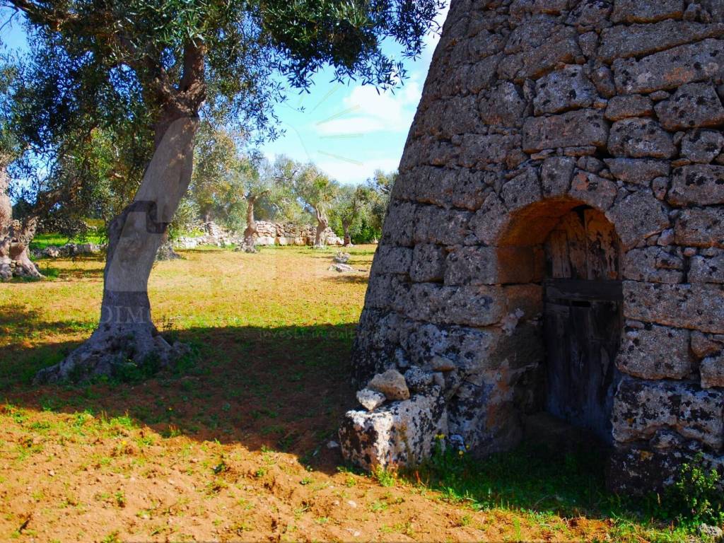 Terreno a Castrignano del capo in Strada Provinciale Castrigano del Capo Marina di Leuca - Foto 5
