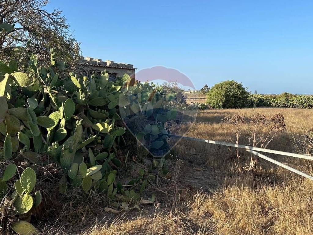 Terreno a Pachino in Contrada Torrefano - Foto 5