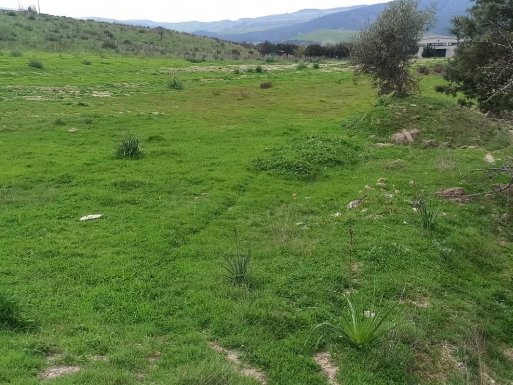 Terreno a Montescaglioso in Strada Consortile - Foto 3
