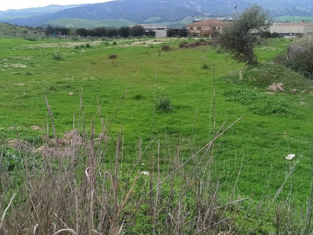 Terreno a Montescaglioso in Strada Consortile - Foto 4