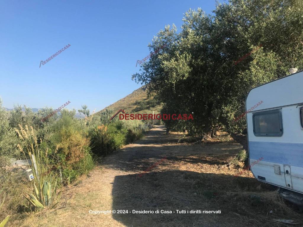 Terreno a Altavilla milicia in Intercomunale 12 - Foto 4
