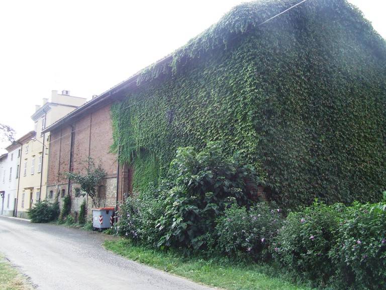 Rustico / casale a Casalnoceto in Via Roma - Foto 4