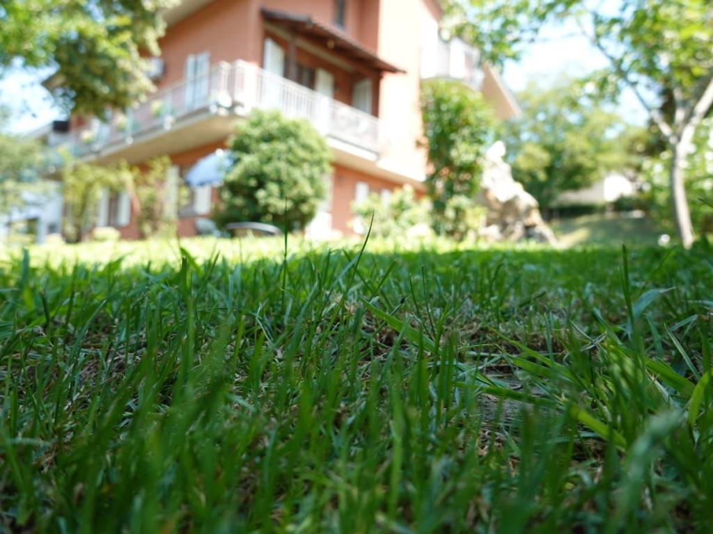 Villa a Treiso in Località Pertinace, 12 - Foto 3