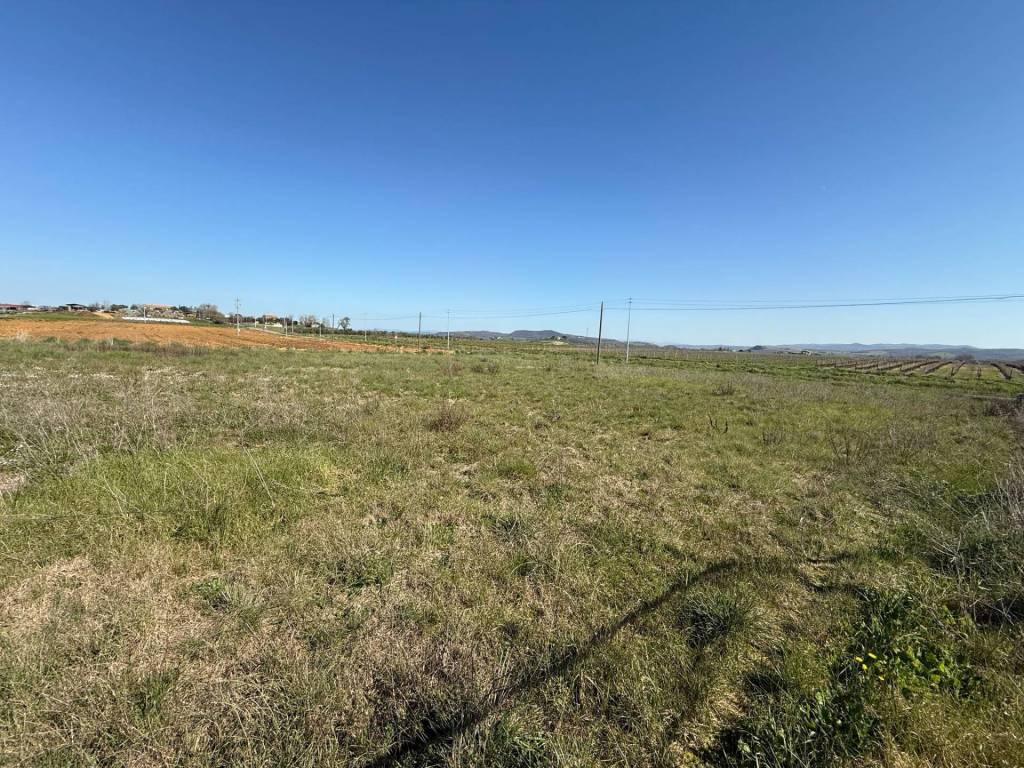 Casa indipendente a Magliano in toscana in Strada Sant'Andrea - Foto 4