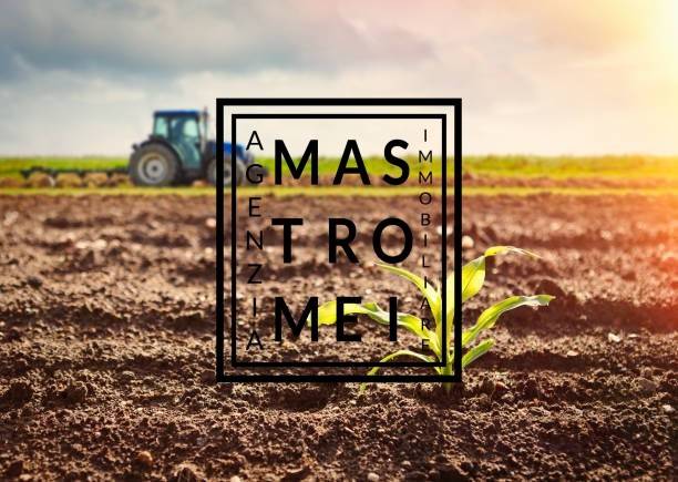 Terreno a Altopascio - Foto 2