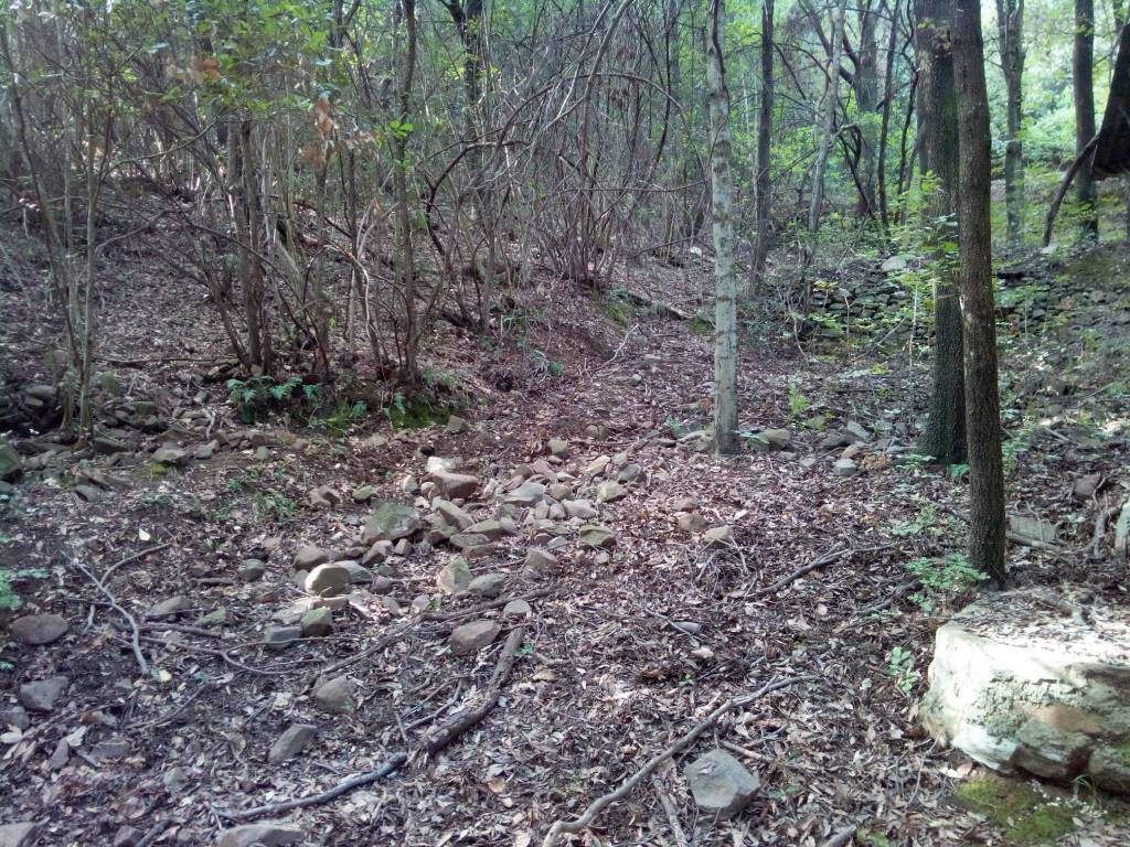 Terreno a Suvereto in Strada Provinciale dei Quattro Comuni - Foto 4