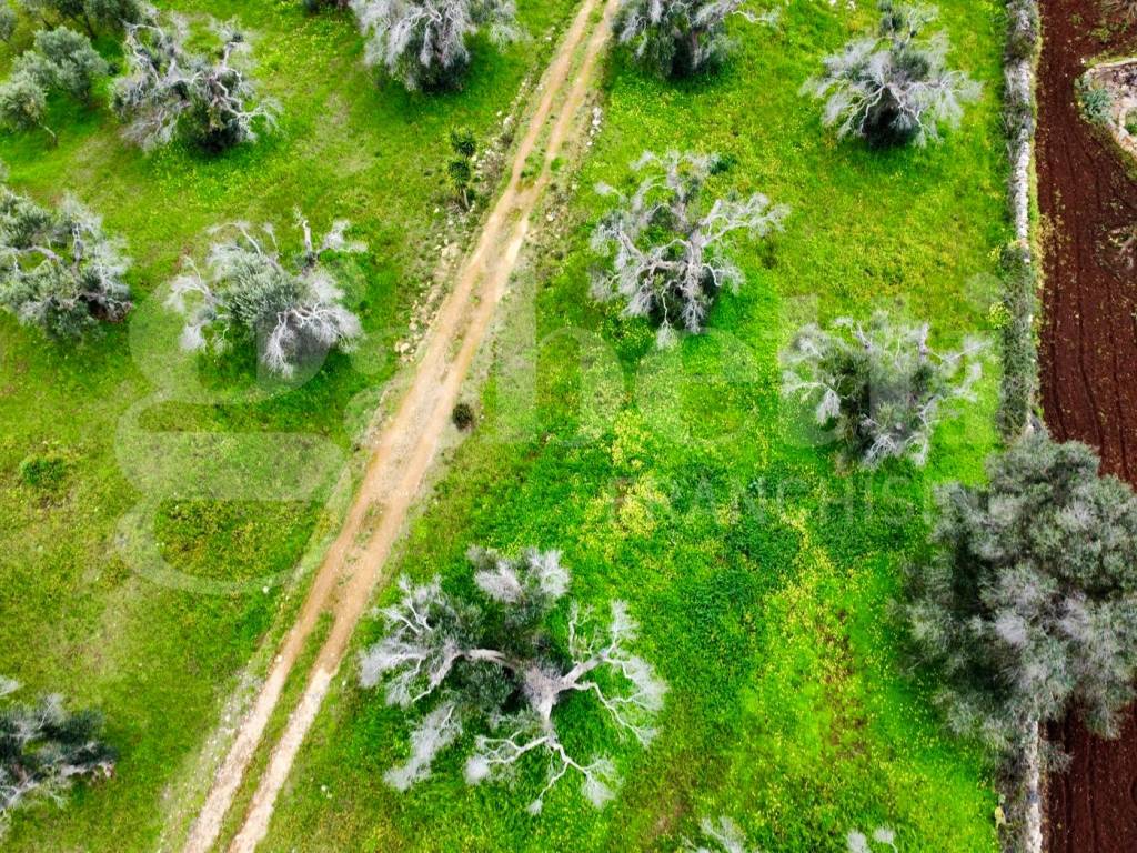 Villa a San vito dei normanni in Contrada Gaeta Piccolo, SNC - Foto 5