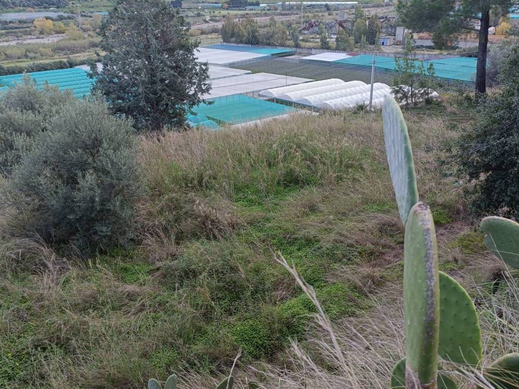 Terreno a Terme vigliatore in Via Nazionale - Foto 5