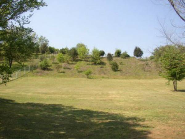 Terreno a Nepi in Via Nepesina - Foto 5