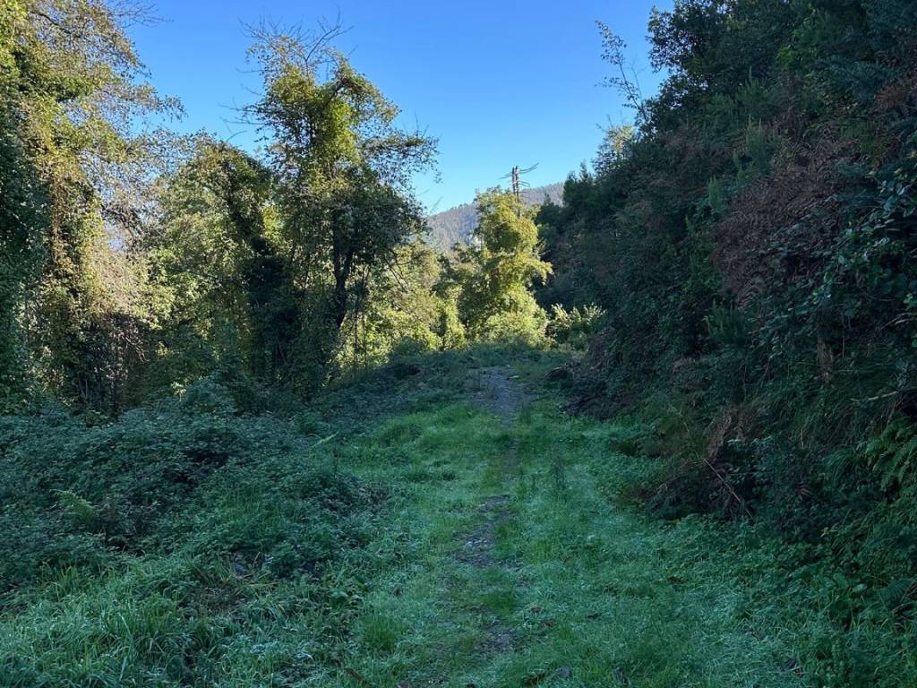 Villa a Pignone in Via del Villaggio - Foto 3