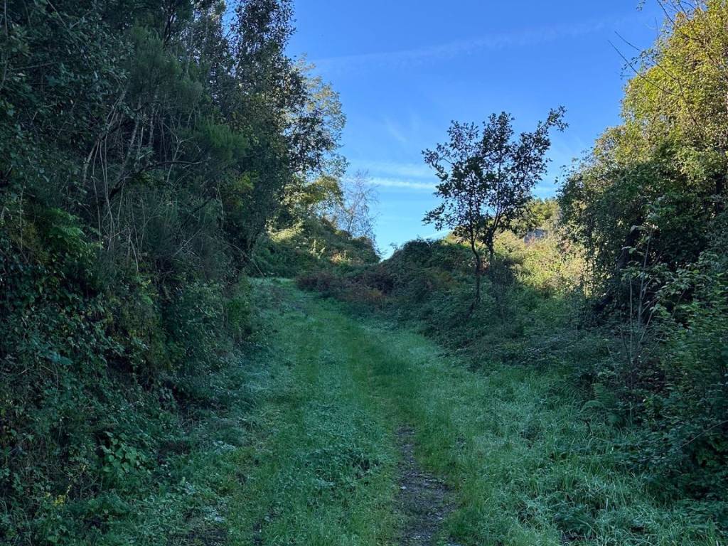 Villa a Pignone in Via del Villaggio - Foto 4