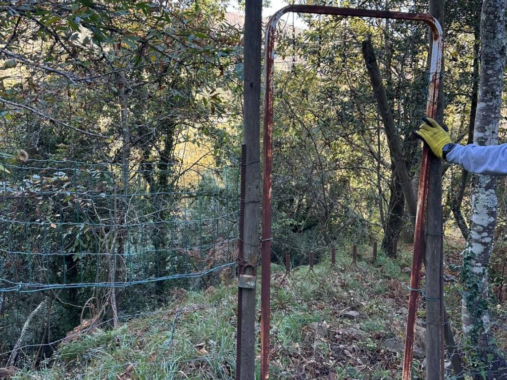 Villa a Pignone in Via del Villaggio - Foto 5