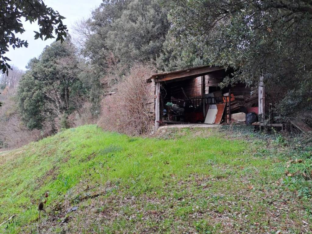 Villa a Collesalvetti in Via delle Sorgenti, 41, 57014 Collesalvetti LI, Italia - Foto 4