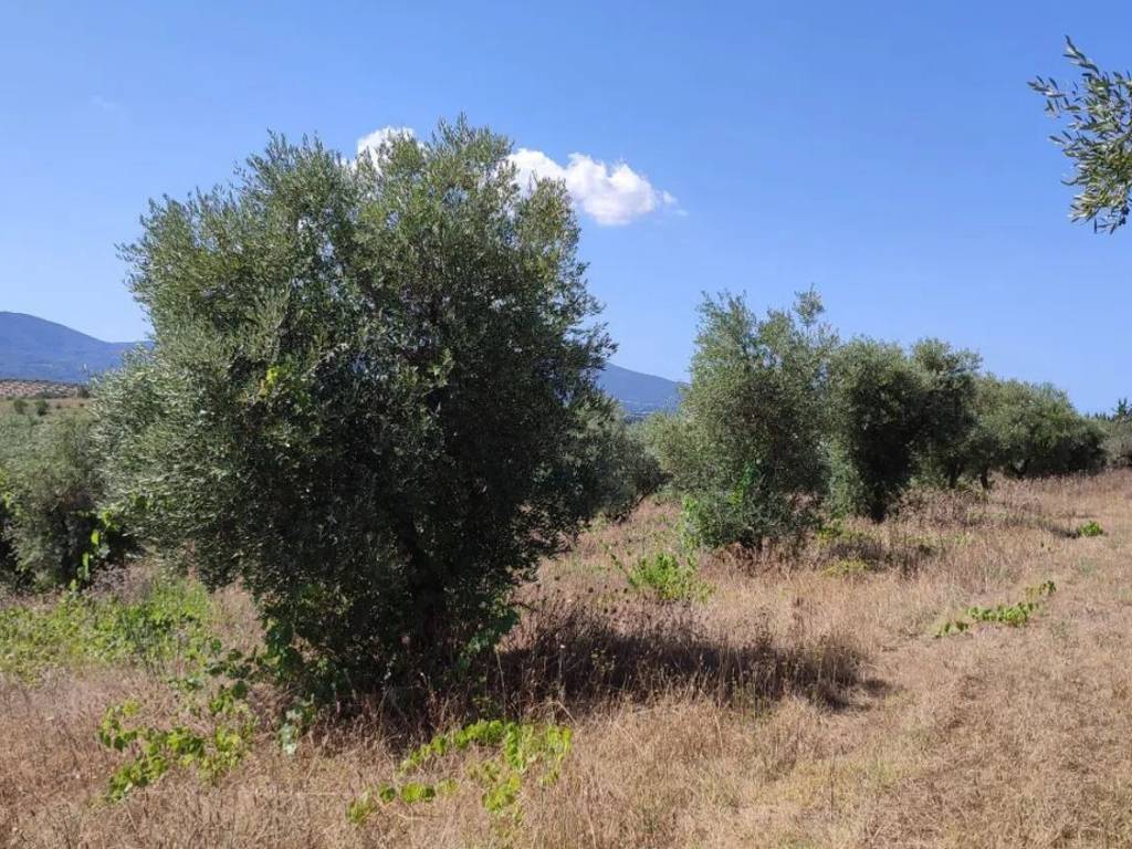 Immobile a Gavorrano - Foto 3